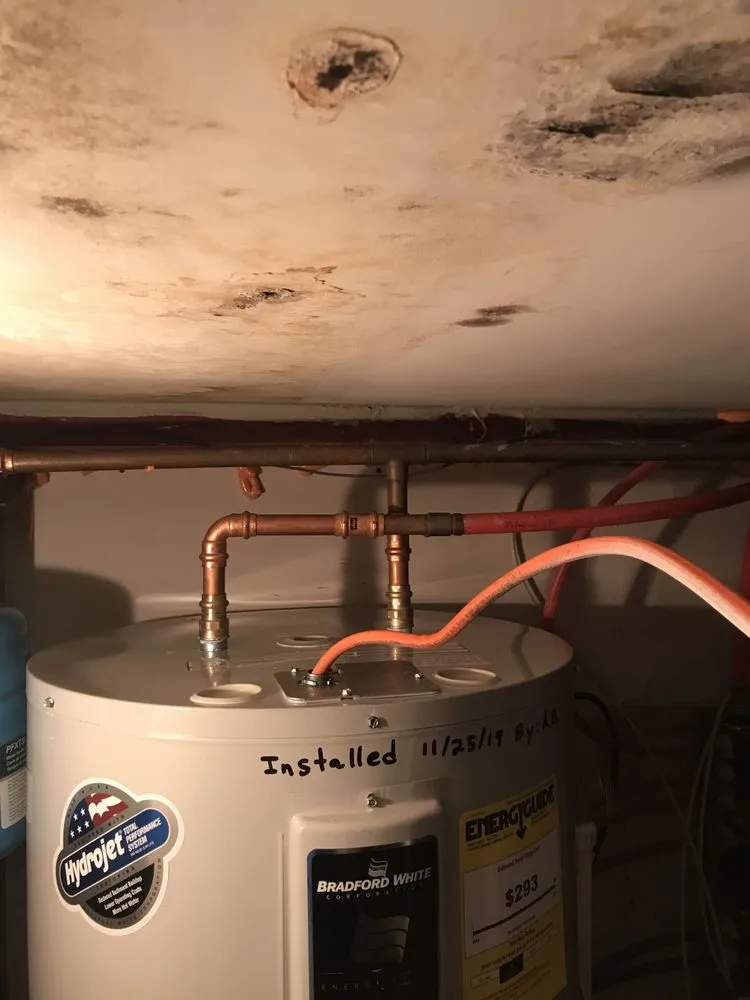 Slide of Royally Flushed Plumbing