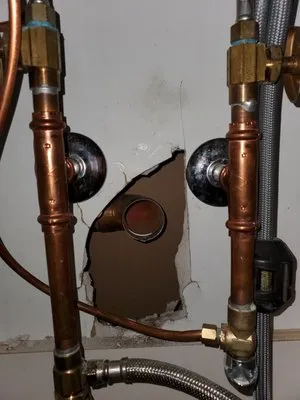 Royally Flushed Plumbing