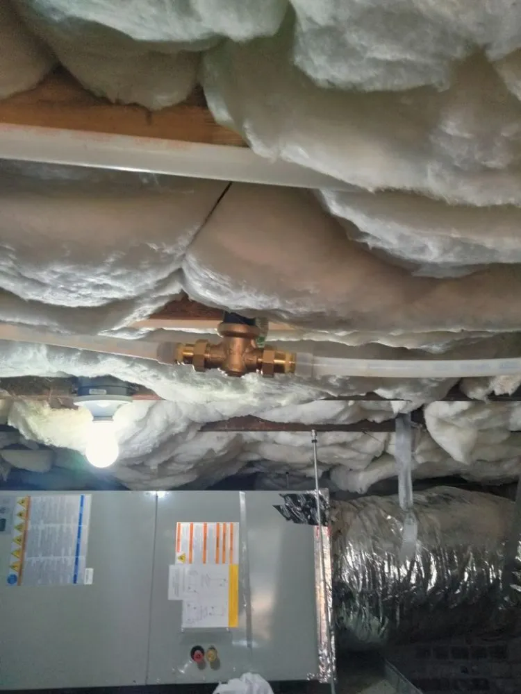 Slide of Royalty Handywork