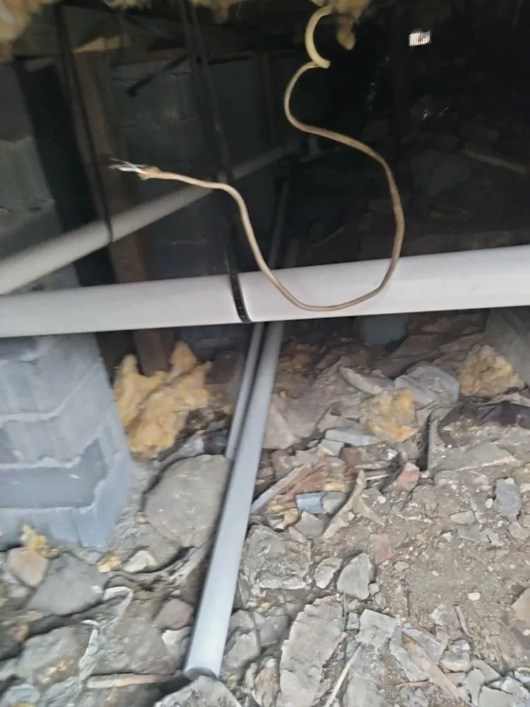 Slide of Royalty Handywork