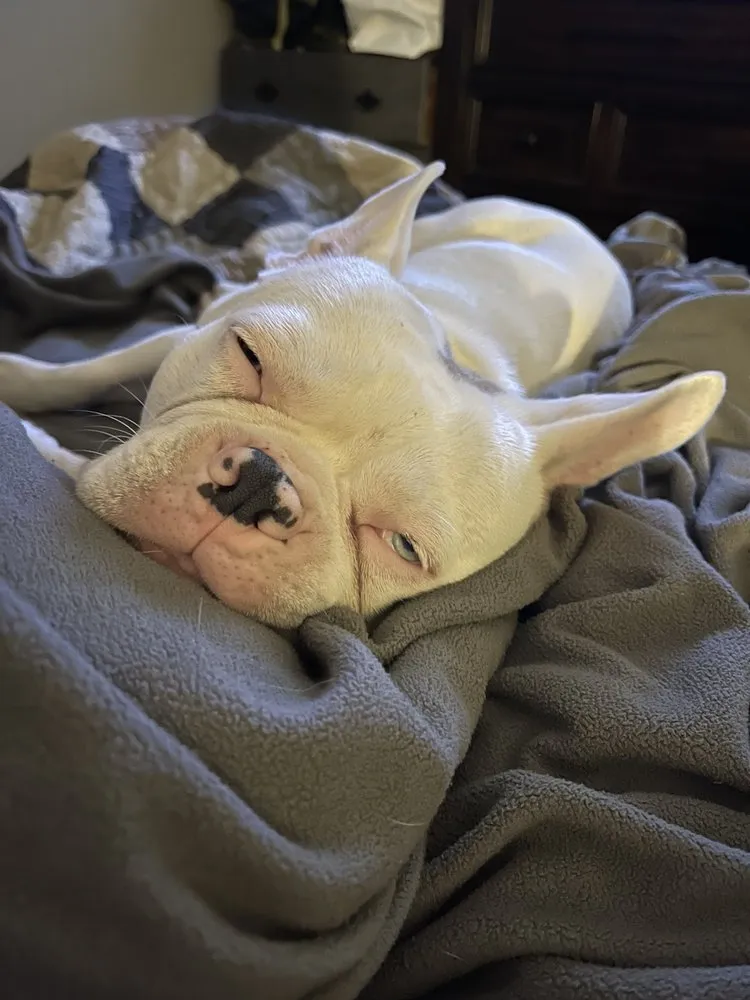 Slide of Roys Plumbing & Heating