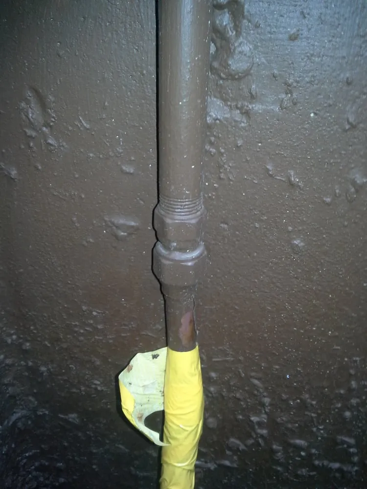 Slide of Roy's Rooter