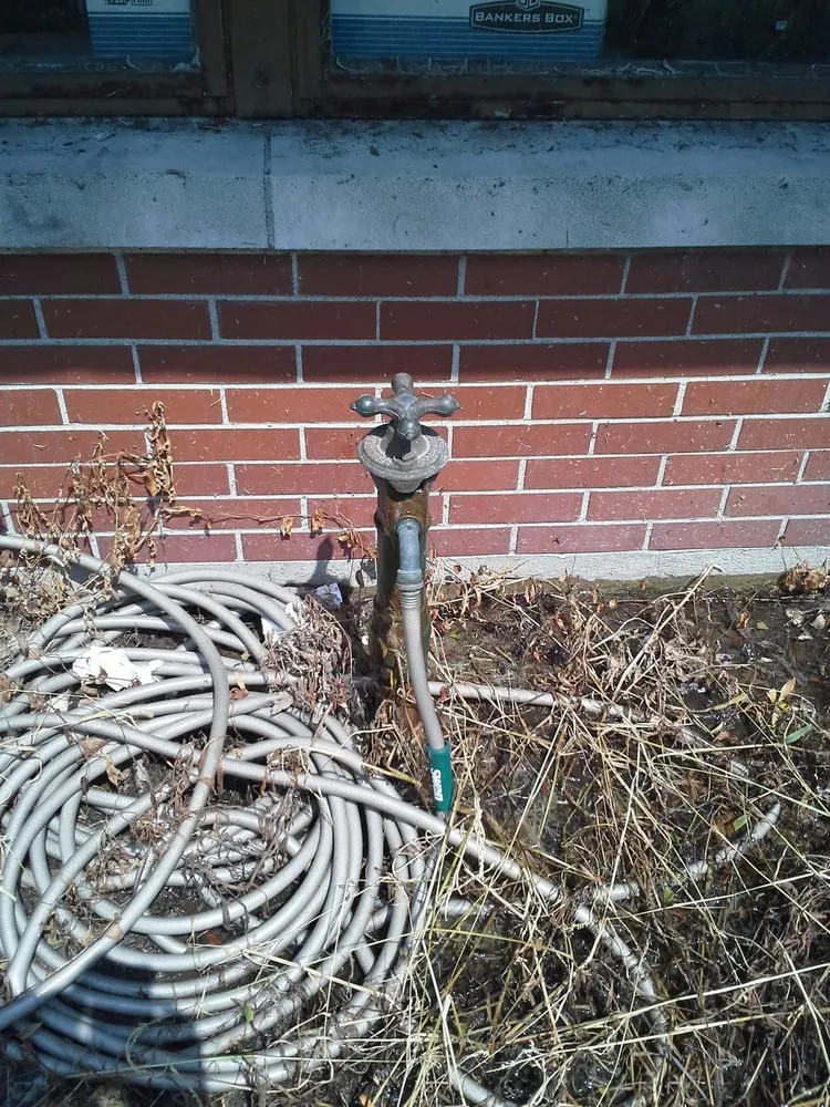 Slide of Roy's Rooter