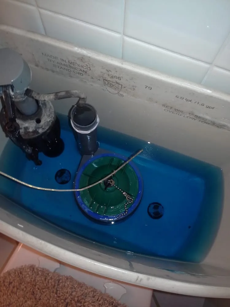 Slide of Roy's Rooter