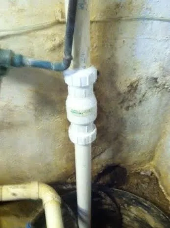 Slide of Roy's Rooter