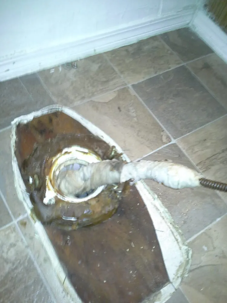 Slide of Roy's Rooter