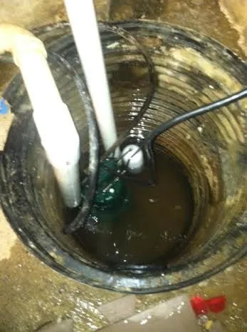 Slide of Roy's Rooter