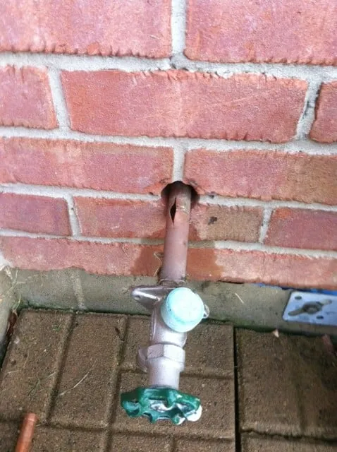 Slide of Roy's Rooter