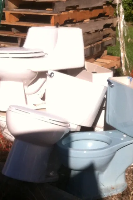 Slide of Roy's Rooter