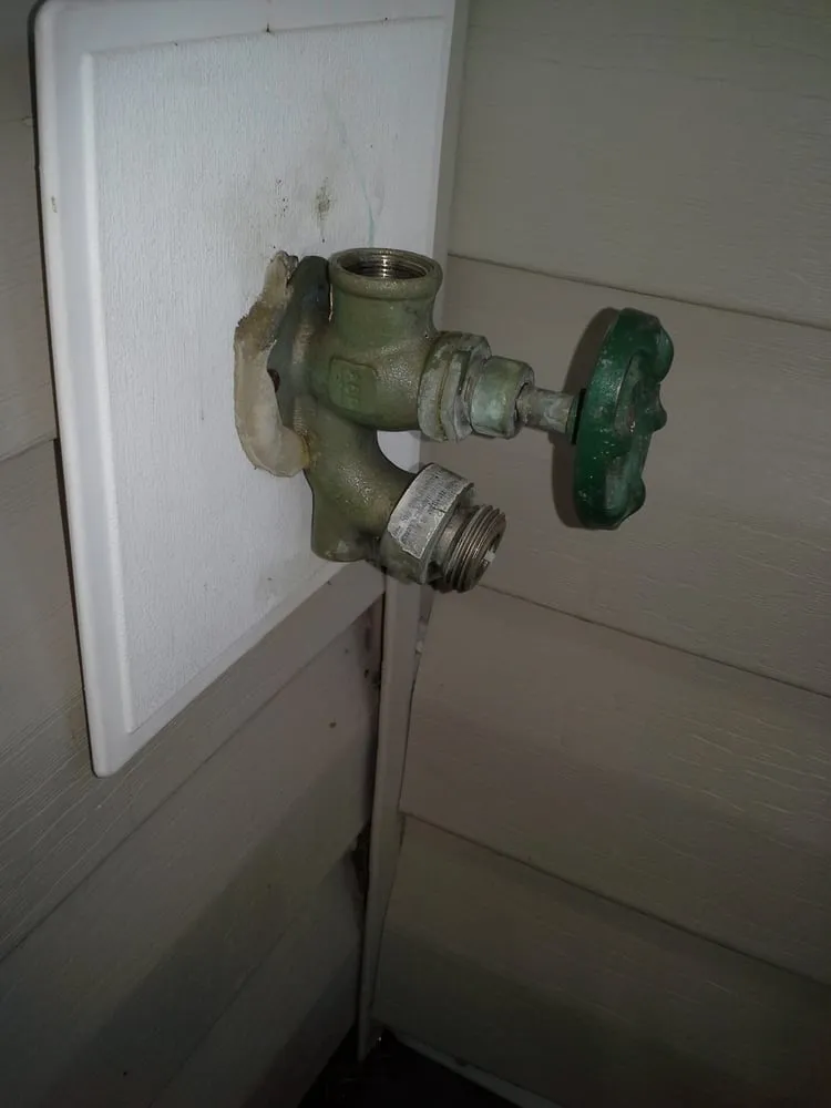 Slide of Roy's Rooter