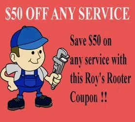 Slide of Roy's Rooter