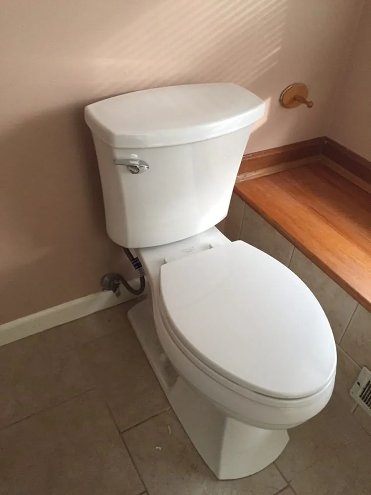 Slide of Roy's Rooter