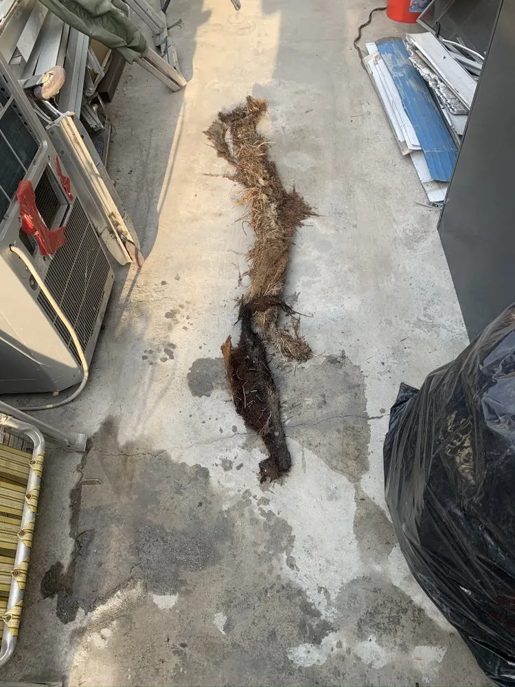 Slide of RP Plumbing Service & Rooter