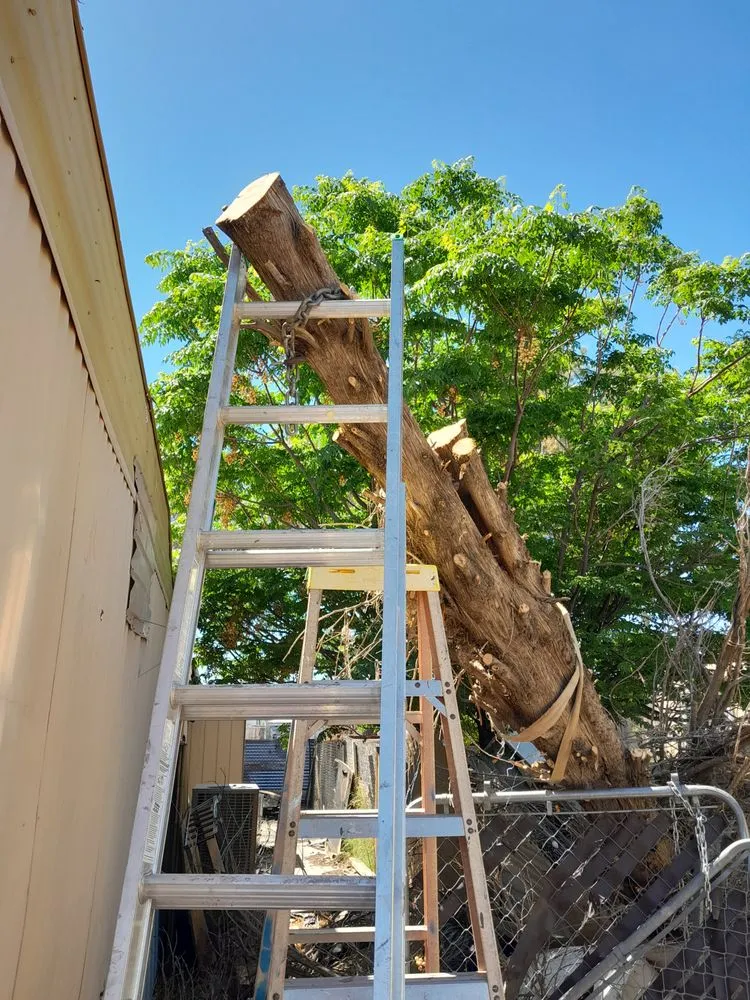 Slide of RR Services