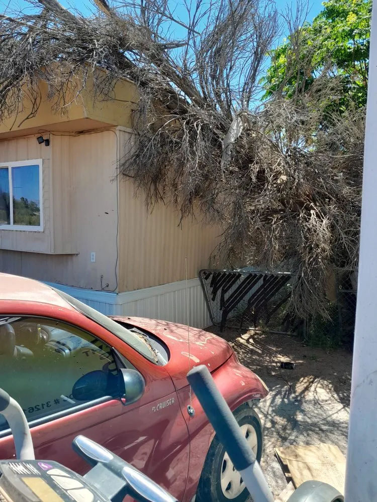 Slide of RR Services