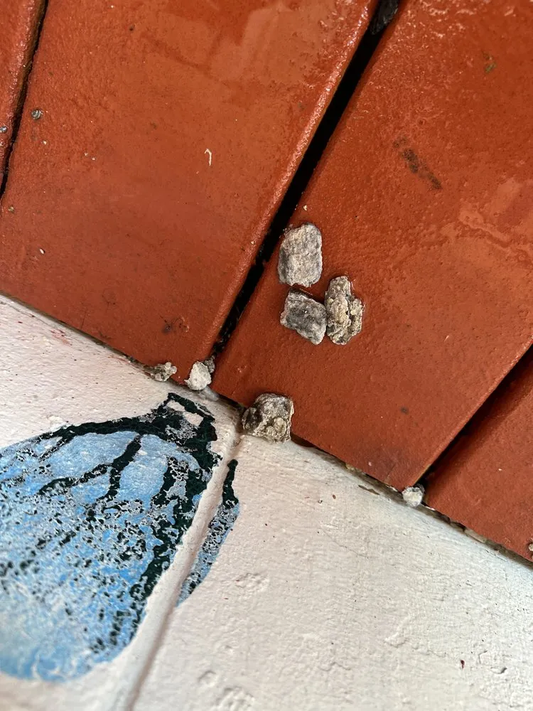 Slide of RR&M HOME DRAIN CLEANING