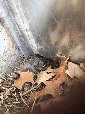 RS Andrews of Tidewater Logo