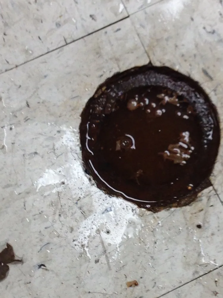 Slide of R&S Drain Services