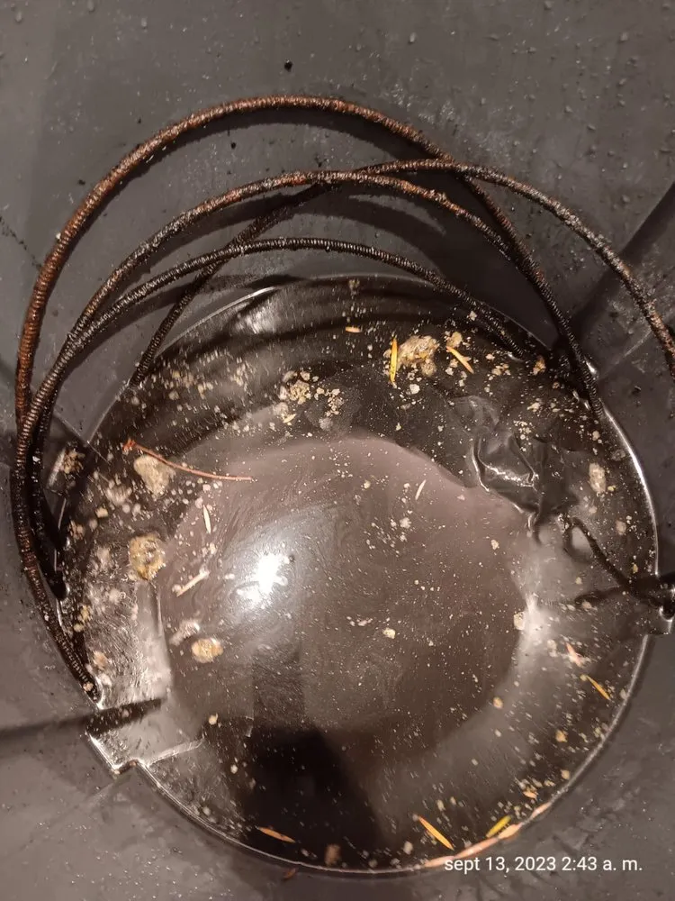 Trusted drain cleaning experts serving Hawaiian Gardens, CA - RS3M Plumbing and Rooter