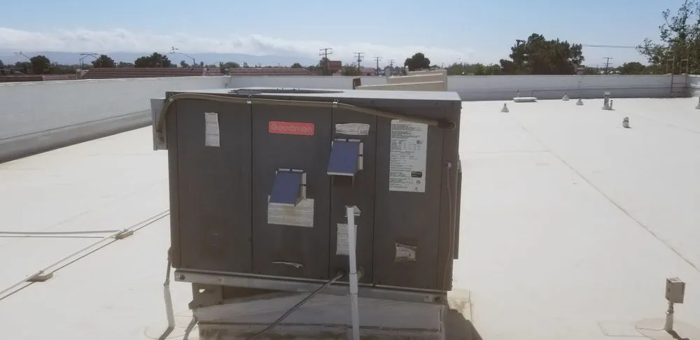 Trusted drain cleaning experts serving Palmdale, CA - Ruben Roque's Maintenance