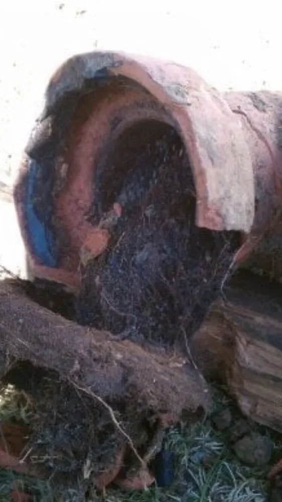 Affordable leak detection for homes in Woodland Hills, CA by Rush Plumbing and Rooter Services