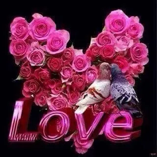 Slide of Rush Plumbing and Rooter Services