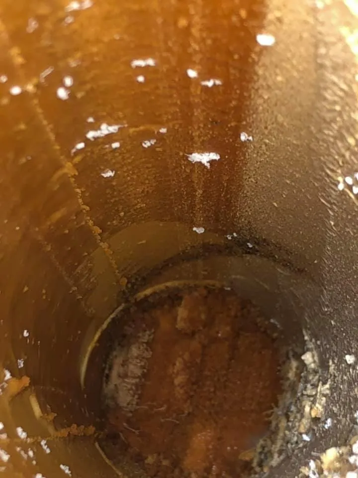 Expert water heater service service in Carol Stream, IL - Russo's Plumbing