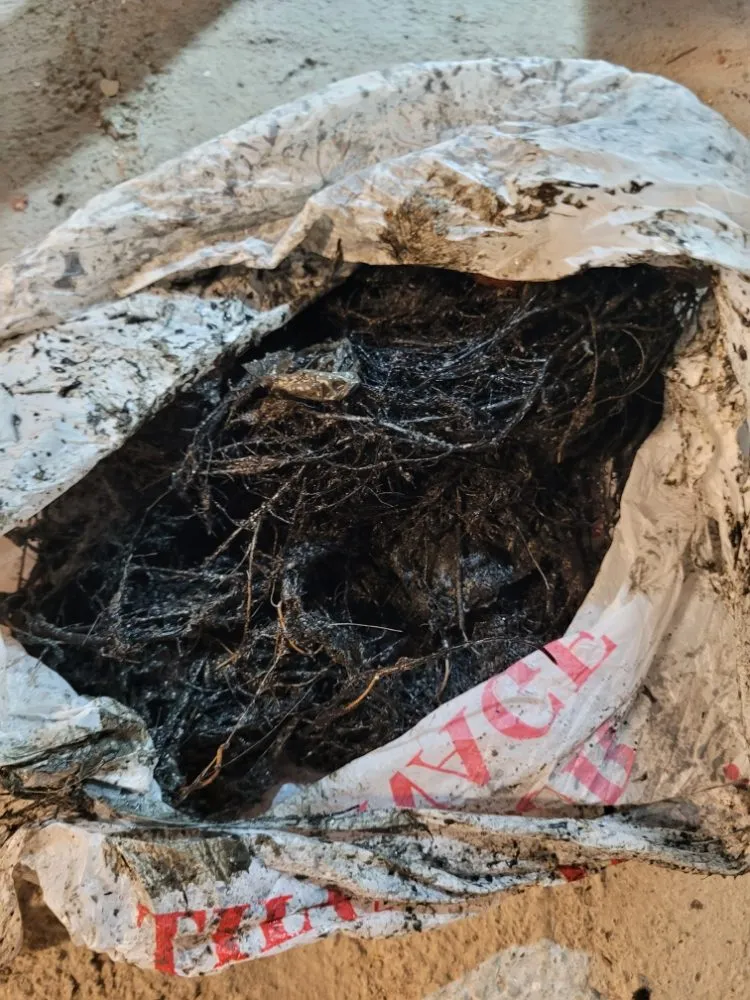 Quality pipe repair service in West Hartford, CT - RV Waterproofing and Drainage