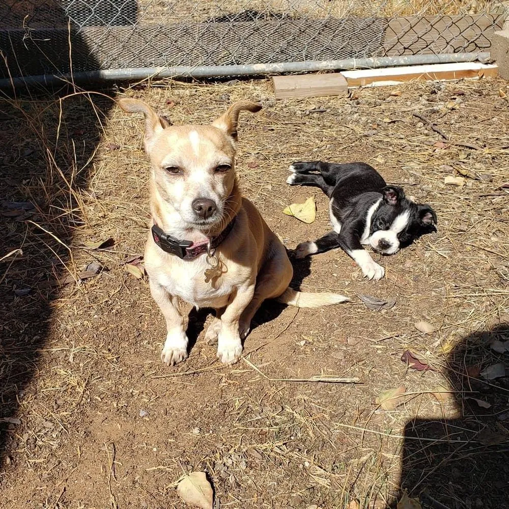 Slide of RWB Plumbing Services