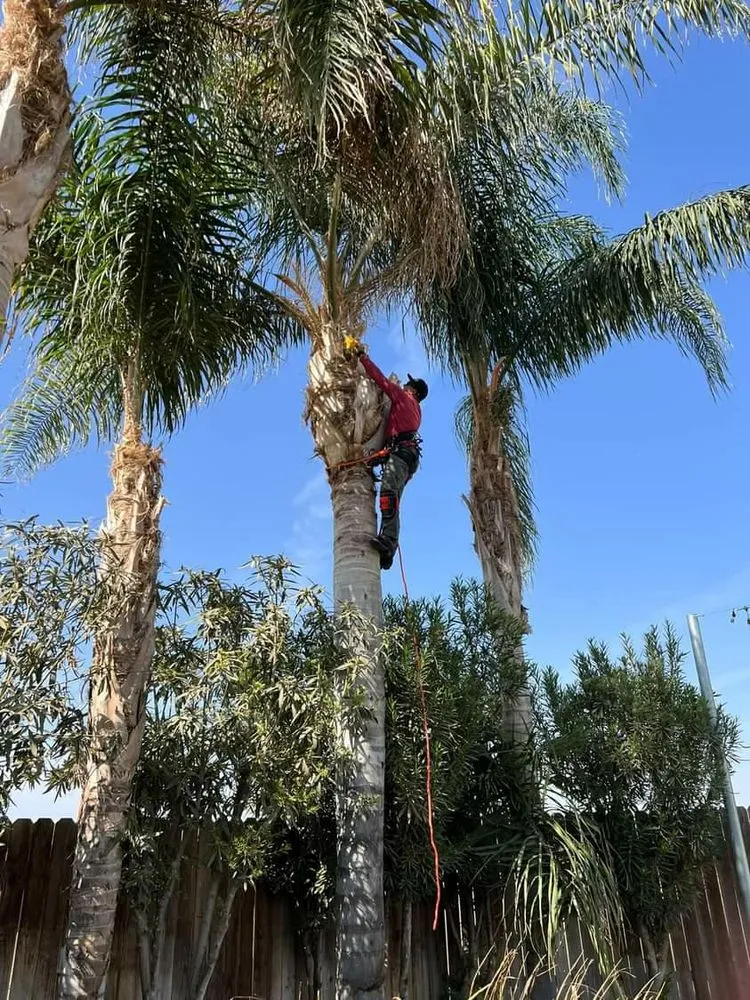 Slide of Ryan's Handyman Service