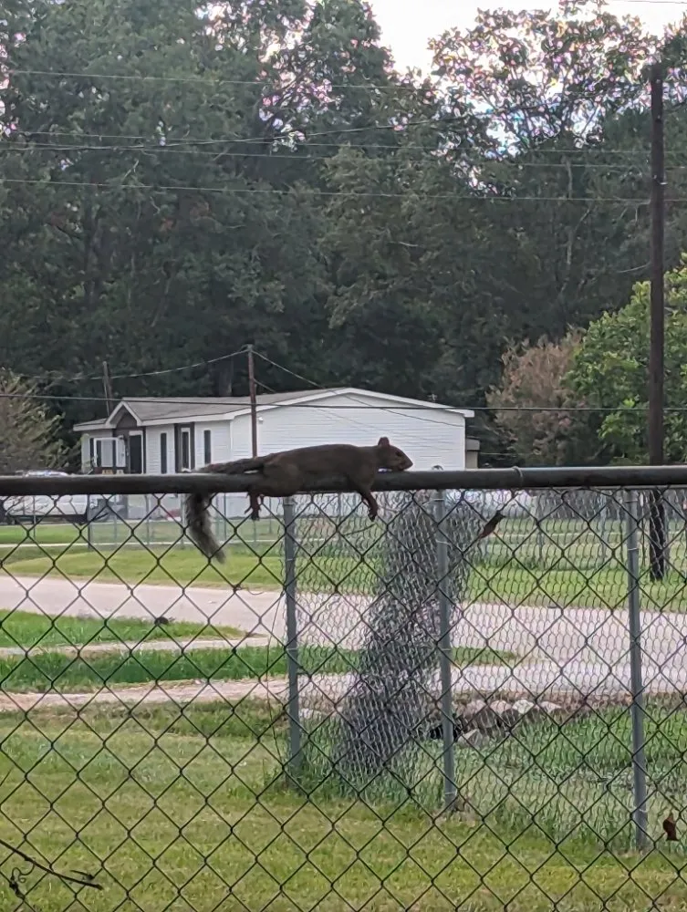 Quality drain cleaning experts serving Humble, TX - Ryans Plumbing Repair Service