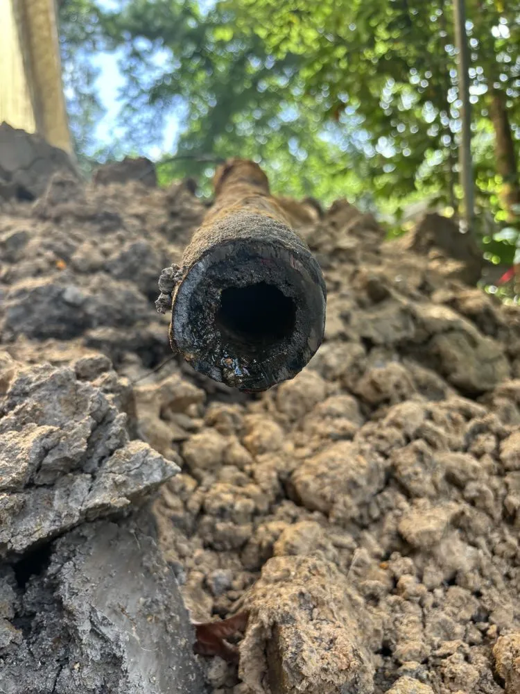 Slide of Ryno Plumbing