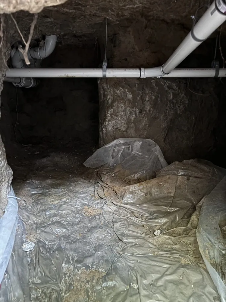 Slide of Ryno Plumbing