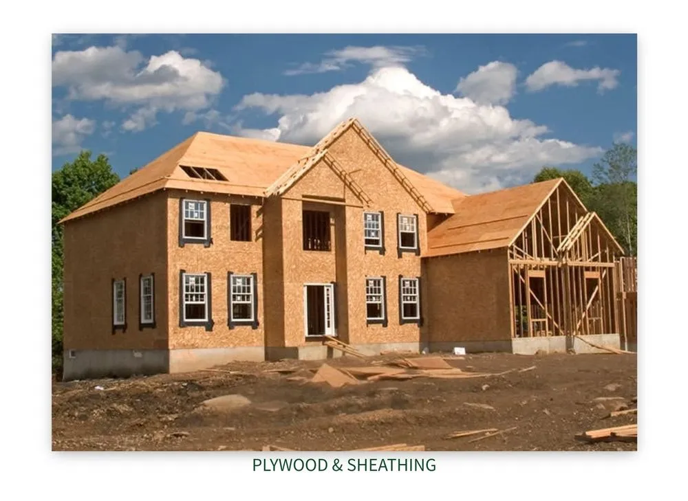 Slide of S Class Construction