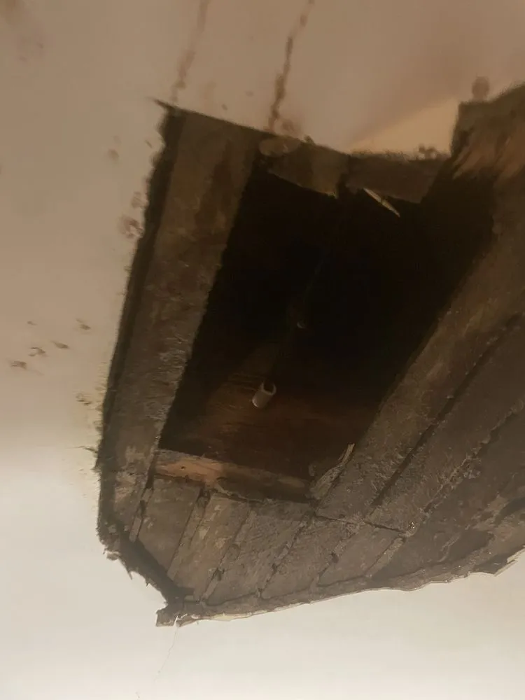 Slide of S F quality plumbing