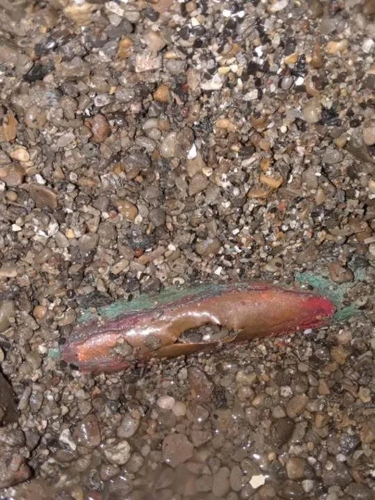 Slide of S. Henderson Plumbing