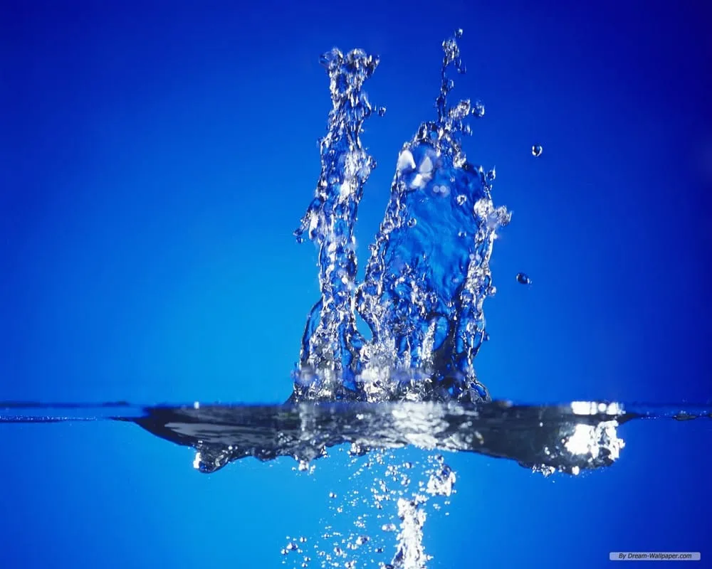 Slide of SA Mechanical