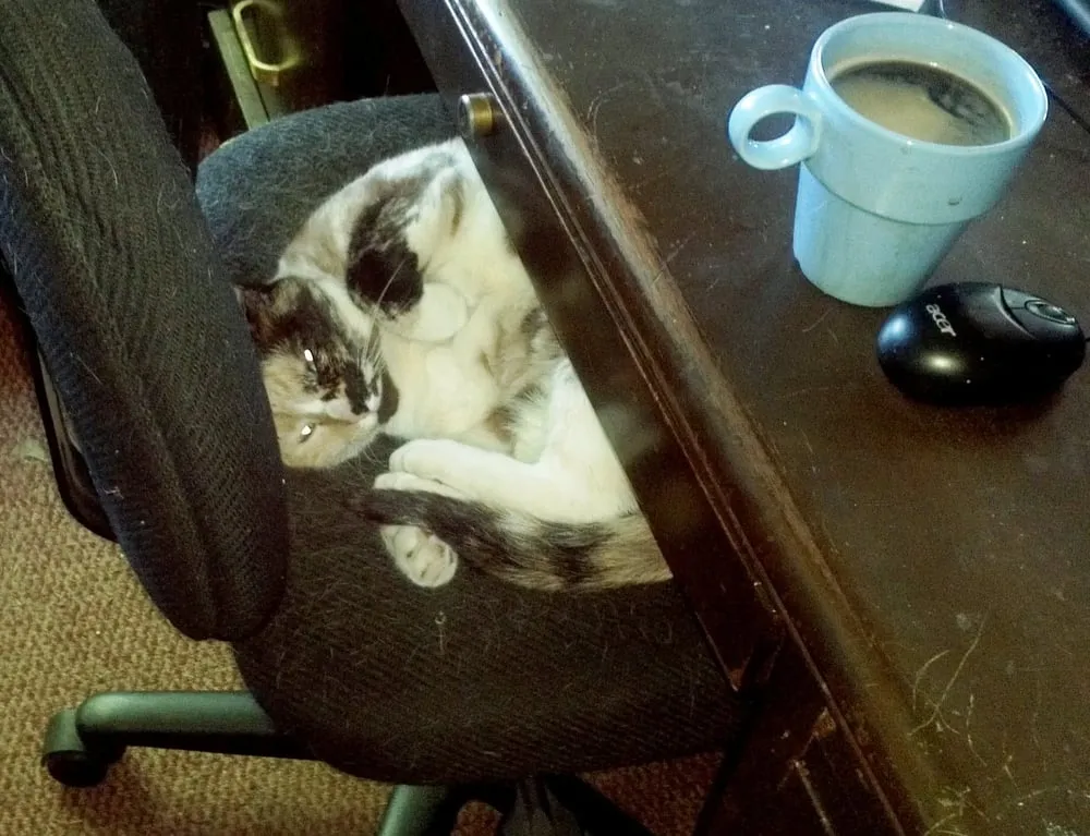 Slide of Sac City Plumbing