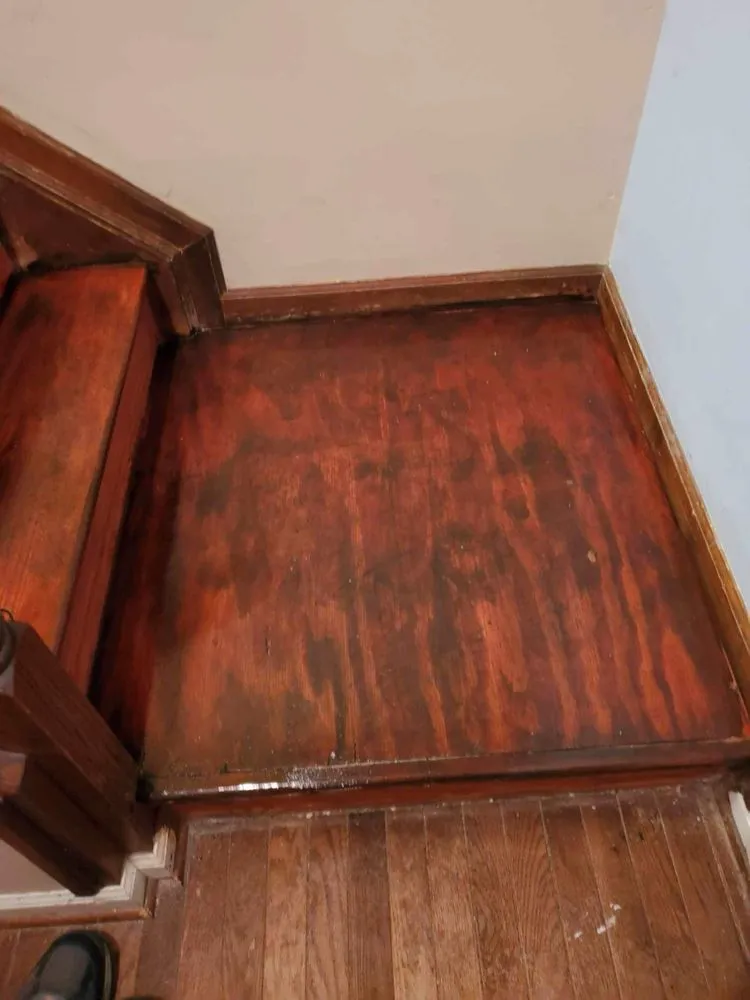 Slide of Saeli Remodeling