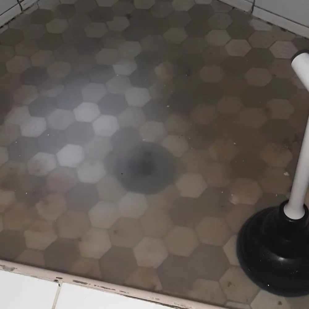 Trusted drain cleaning in Jamaica, NY by Safeway Sewers