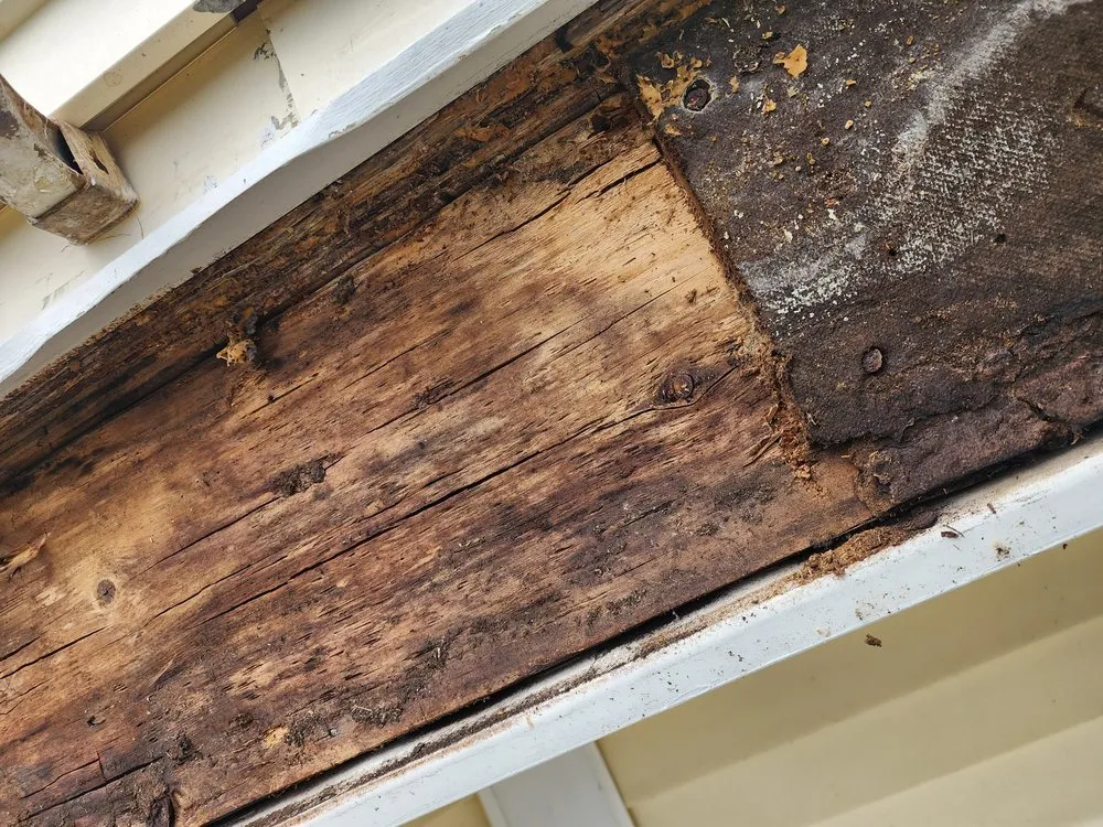 Reliable pipe repair in District Heights, MD by Salazar Construction