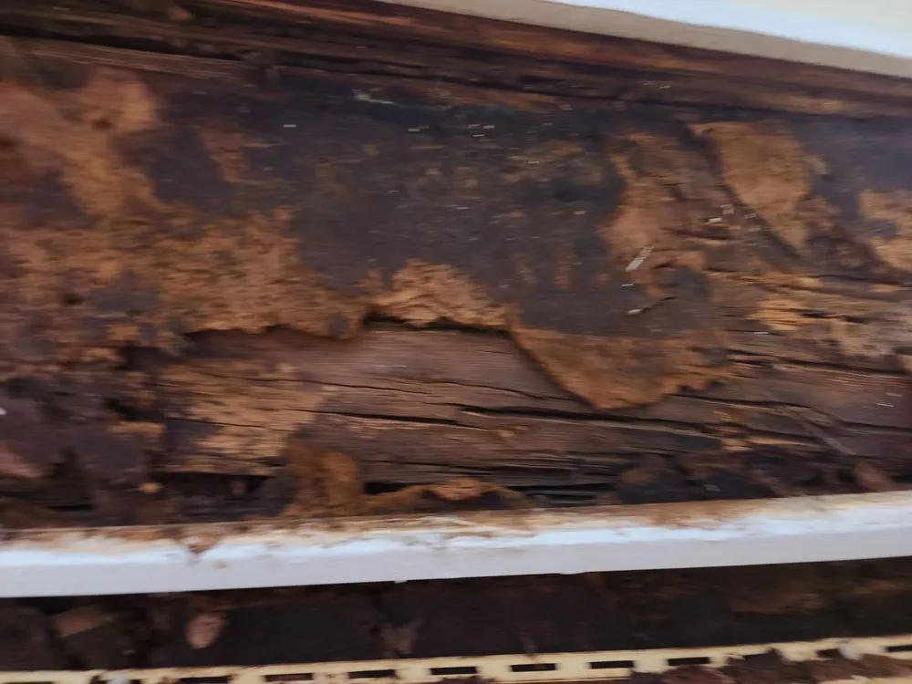 Affordable drain cleaning in District Heights, MD by Salazar Construction