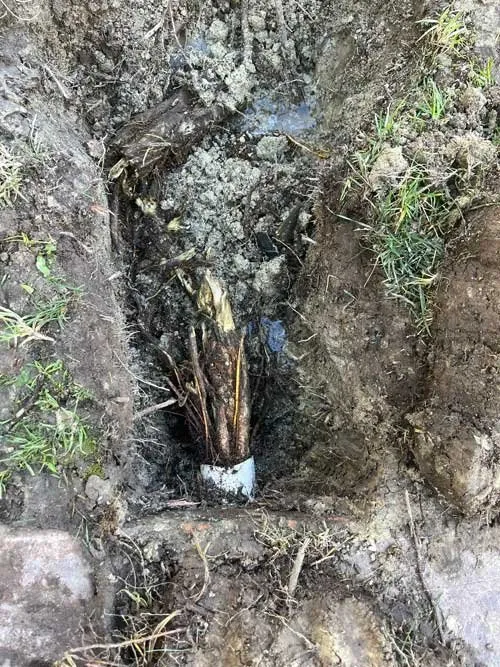 Slide of Sales Sprinkler & Drainage Repair
