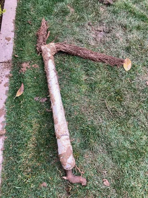 Slide of Sales Sprinkler & Drainage Repair