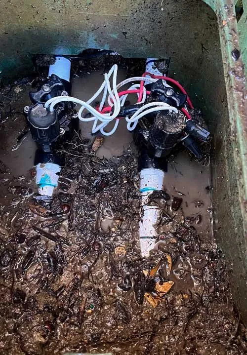 Slide of Sales Sprinkler & Drainage Repair