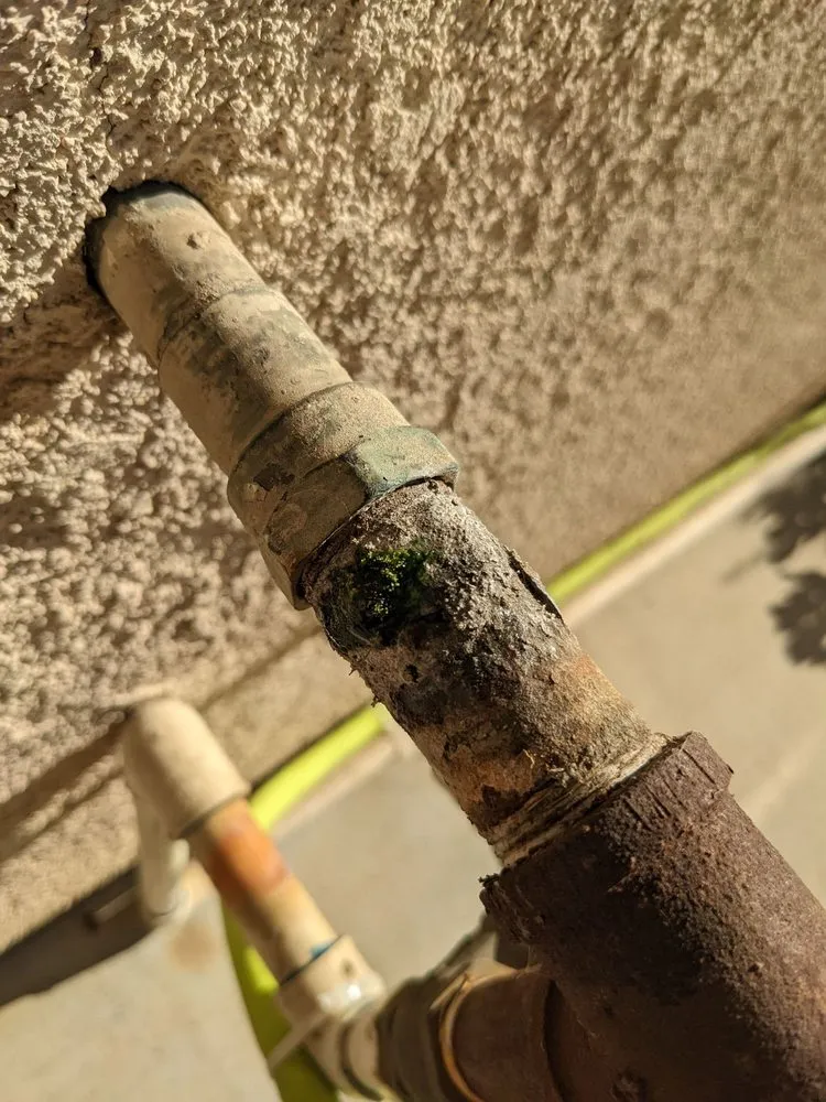 Slide of Salomon's Plumbing