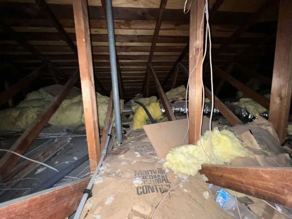 Quality leak detection for homes in Redondo Beach, CA by Sal's Plumbing - Beach Cities