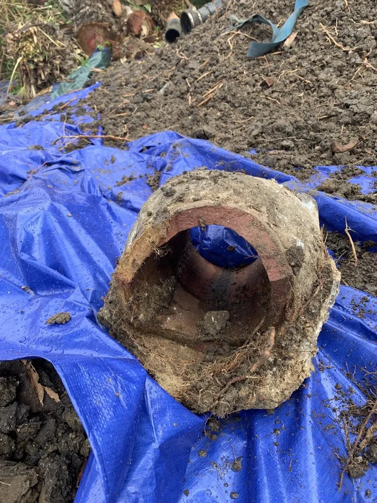 Expert water heater service for homes in Torrance, CA by Sal's Plumbing Company