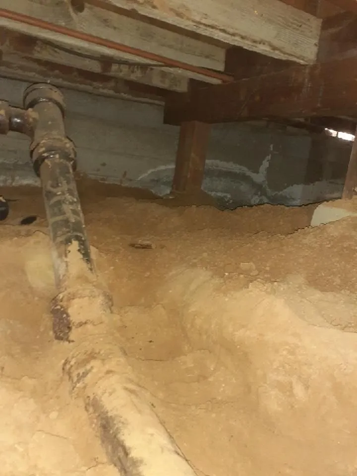 Affordable plumbing repair experts serving El Segundo, CA - Sal's Plumbing-El Segundo/LAX