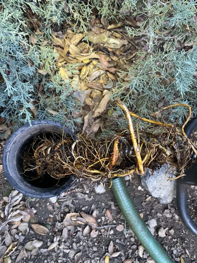 Slide of Sam Ho Rooter Plumbing